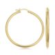 Gold Tube Hoop