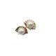 Shell Earrings Pearl with Diamond
